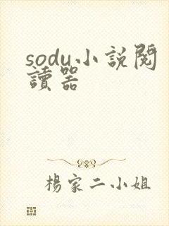 sodu小说阅读器封面