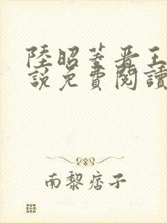 陆昭菱晋王的小说免费阅读封面