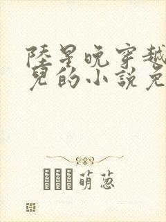 陆星晚穿越成婴儿的小说免费阅读全文封面