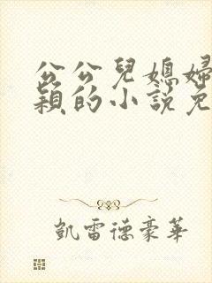 公公儿媳妇是李颖的小说免费阅读全文