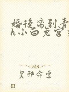 婚后脔到青梅哭h小白兔宫交h封面