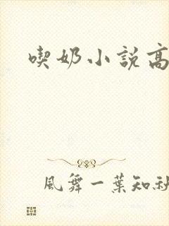 吃奶小说高h封面