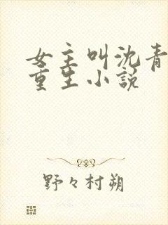 女主叫沈青鸾的重生小说