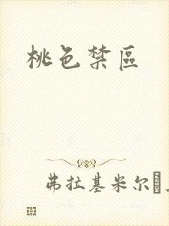 桃色禁区封面