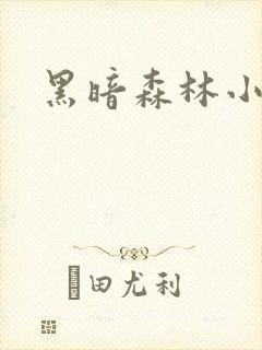 黑暗森林小说封面