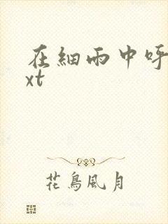 在细雨中呼喊txt