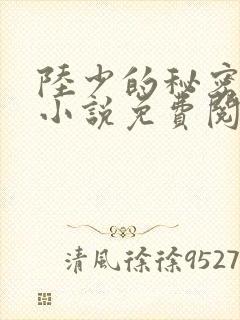 陆少的秘密恋人小说免费阅读