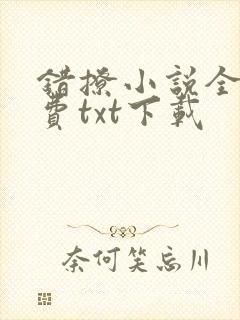 错撩小说全文免费txt下载