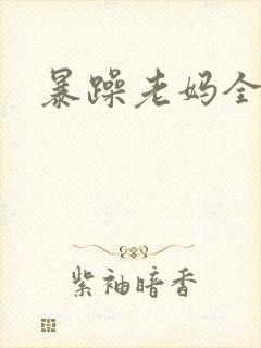 暴躁老妈全集封面