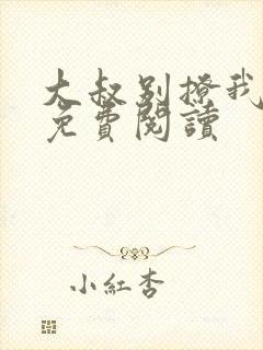 大叔别撩我小说免费阅读