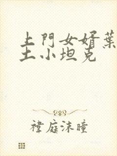上门女婿叶辰掘土小坦克封面