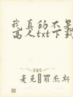 我真的不是绝世高人txt下载