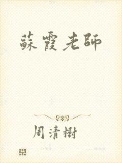 苏霞老师