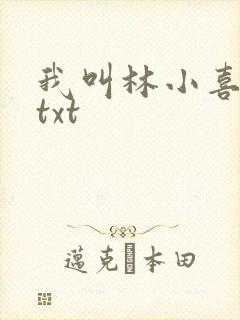 我叫林小喜小说txt封面