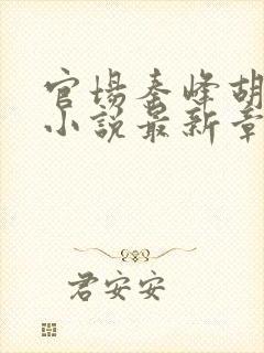 官场秦峰胡佳云小说最新章节内容