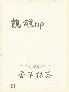 觊觎np