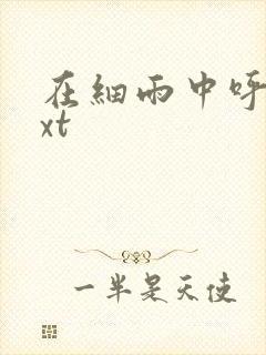 在细雨中呼喊txt