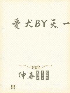 爱犬BY天一