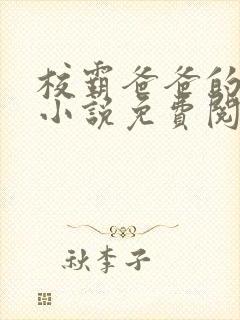 校霸爸爸的秘密小说免费阅读