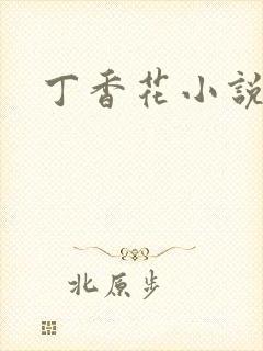 丁香花小说封面