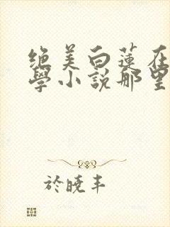 绝美白莲在线教学小说那里可以看