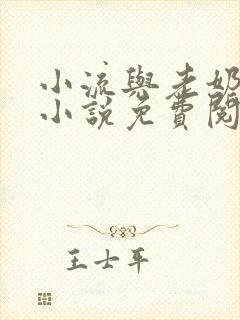 小流与老奶奶的小说免费阅读