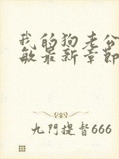 我的狗老公张淑敏最新章节免费阅读封面