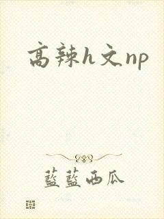 高辣h文np
