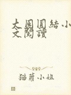 大团圆结小茹全文阅读