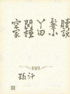 空间丫鬟赎身回家种田小说