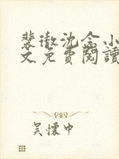 裴彻沈念小说全文免费阅读