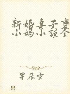 新婚妻子变成了小妈小说全文阅读封面