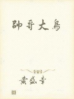帅哥大鸟