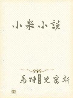 小米小说