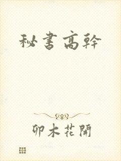 秘书高干封面