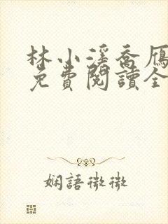 林小溪乔雁小说免费阅读全文无弹窗封面