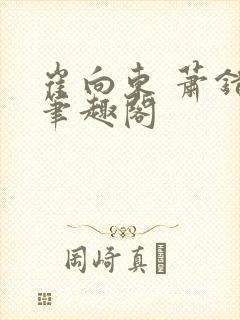 崔向东 萧错 笔趣阁