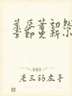 叶辰萧初然最新章节更新小说