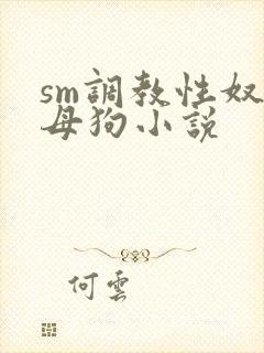 sm调教性奴隶母狗小说
