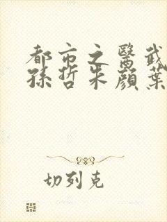 都市之医武风流孙哲朱颜叶巧
