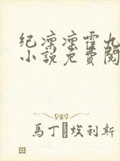纪凛凛霍九霖的小说免费阅读在线封面