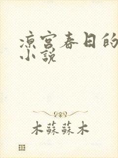 凉宫春日的忧郁小说封面
