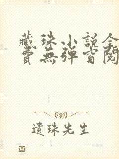 藏珠小说全文免费无弹窗阅读