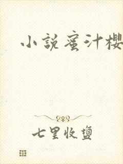 小说蜜汁樱桃