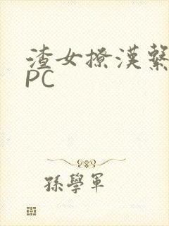 渣女撩汉系统NPC封面