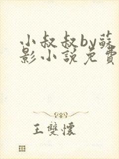 小叔叔by苏九影小说免费阅读