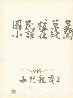 国民校草是女生小说在线阅读封面