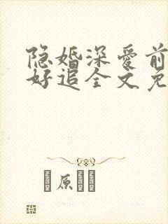 隐婚深爱前妻不好追全文免费阅读