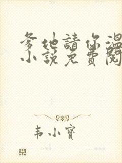 爹地请你温柔点小说免费阅读