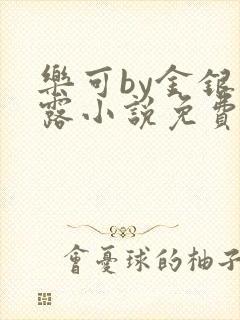 乐可by金银花露小说免费阅读